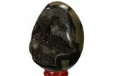 Septarian Dragon Egg Geode - Black Crystals #118741-2